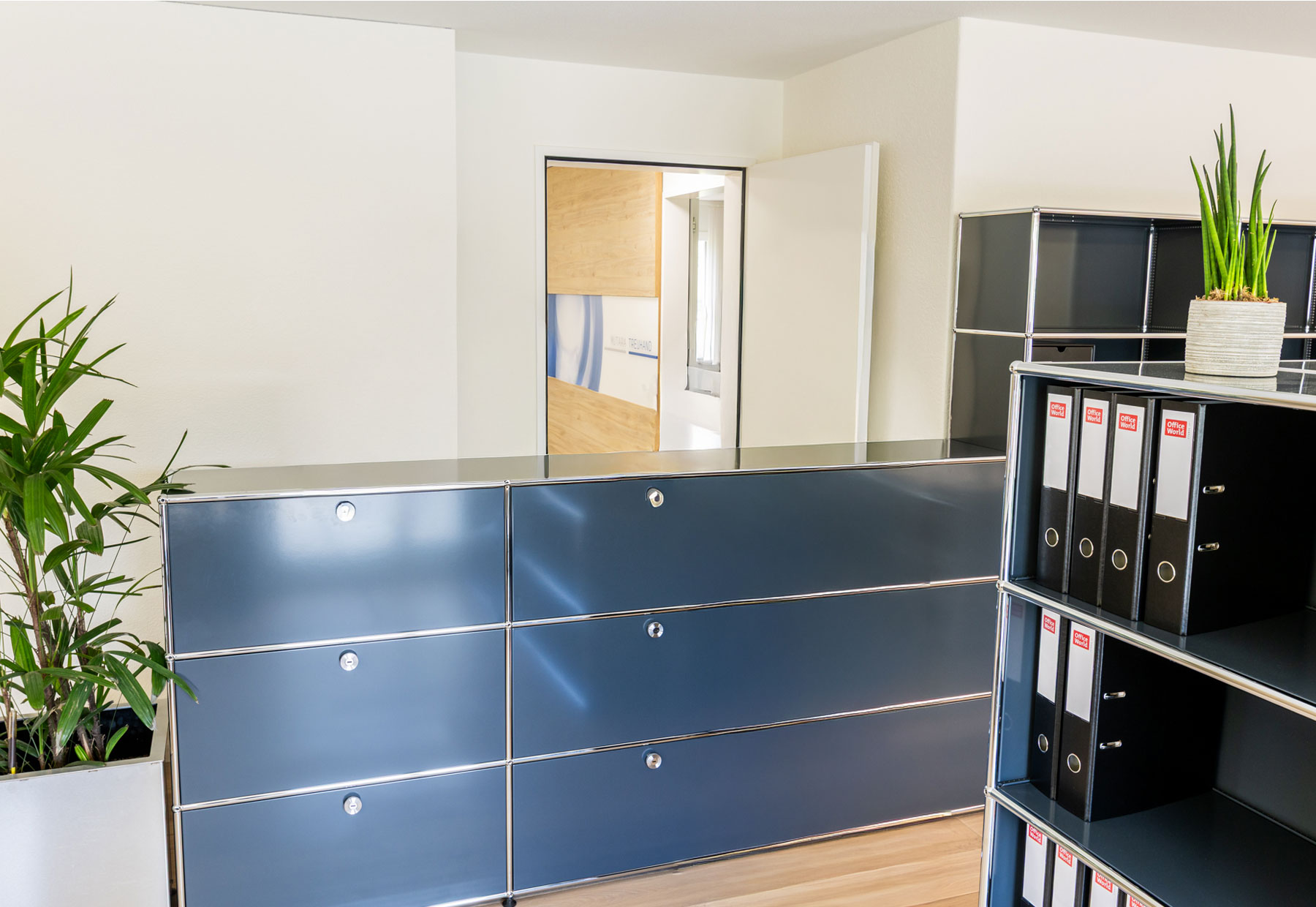 AuditRevision (Audit)-Dienstleistungen